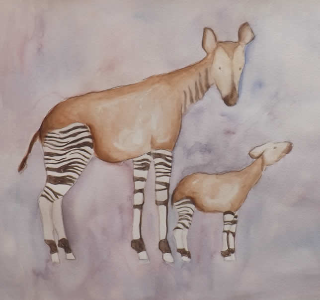 Okapi